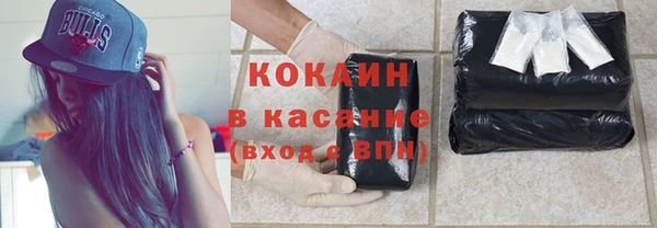 PSILOCYBIN Алзамай