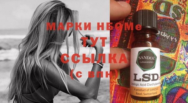 PSILOCYBIN Алзамай