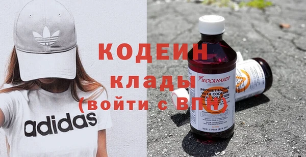 PSILOCYBIN Алзамай