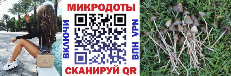 OMG маркетплейс  площадка формула  Аргун  Псилоцибиновые грибы GOLDEN TEACHER  купить закладку 