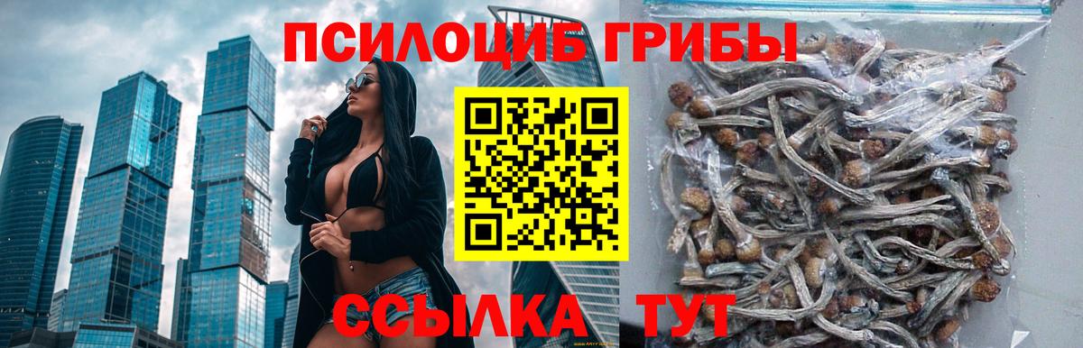 Аргун  Псилоцибиновые грибы мухоморы  как найти   Галлюциногенные грибы ЛСД  Вход с VPN 